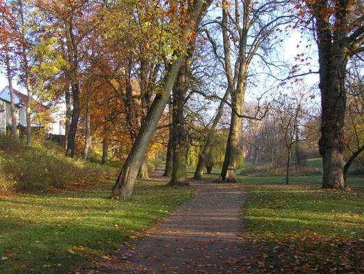 Wallanlagen10 Bäume im Park