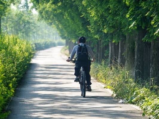 Fahrradfahrer auf dem Fahrrad im Park